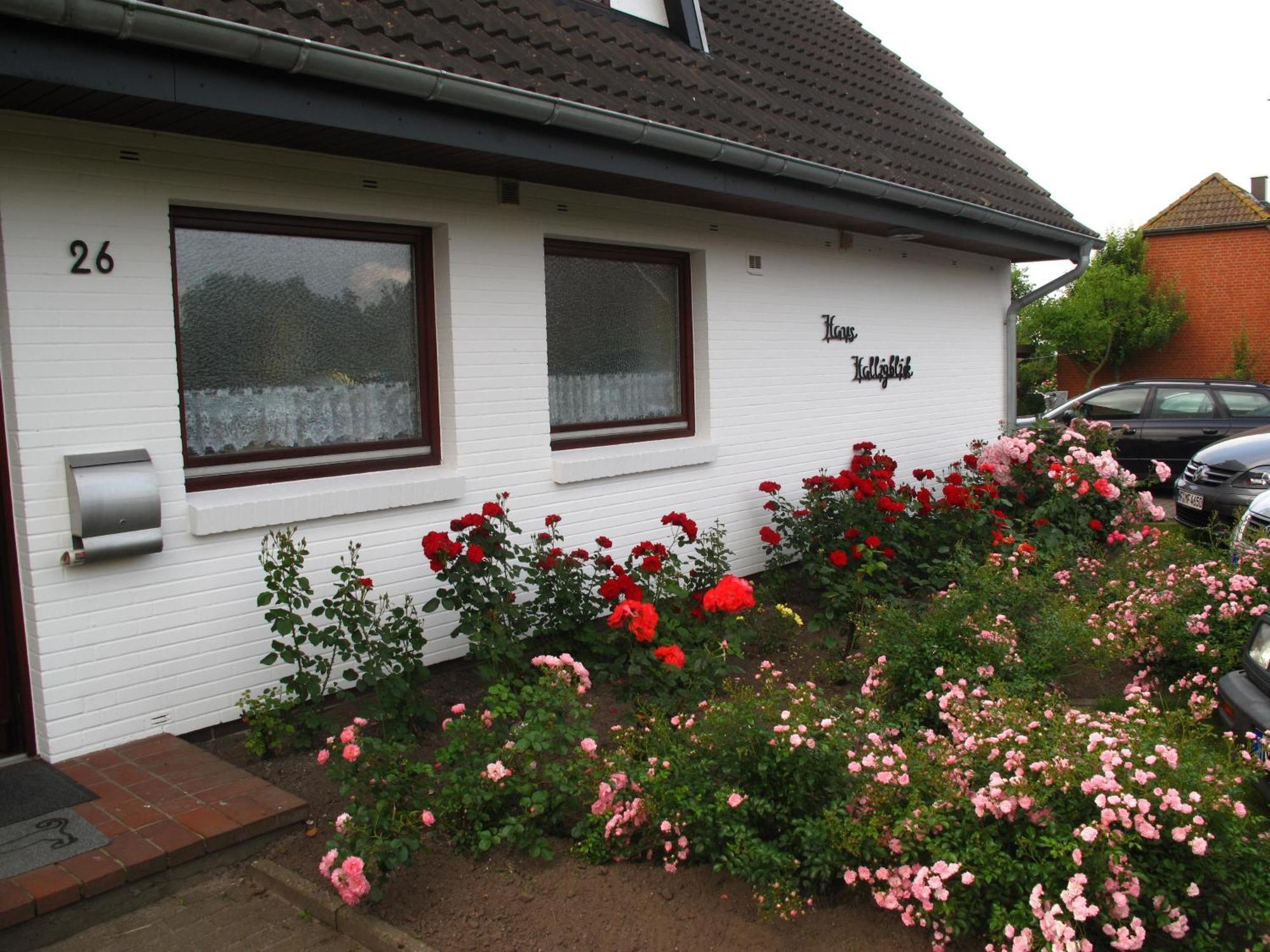 Haus Halligblick, Ferienwohnungen Am Wattenmeer, Whg Hamburger Hallig Dagebuell Exterior photo