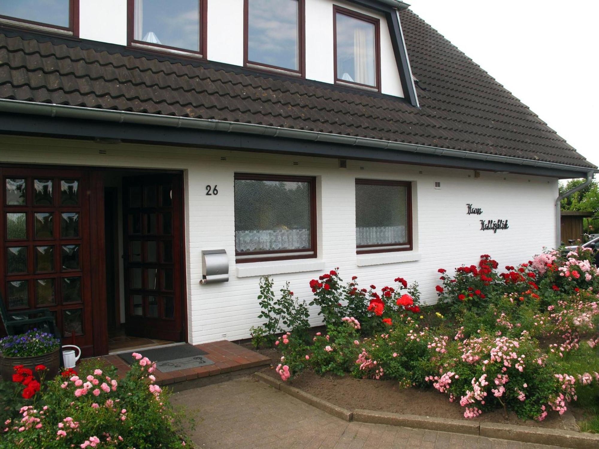 Haus Halligblick, Ferienwohnungen Am Wattenmeer, Whg Hamburger Hallig Dagebuell Exterior photo