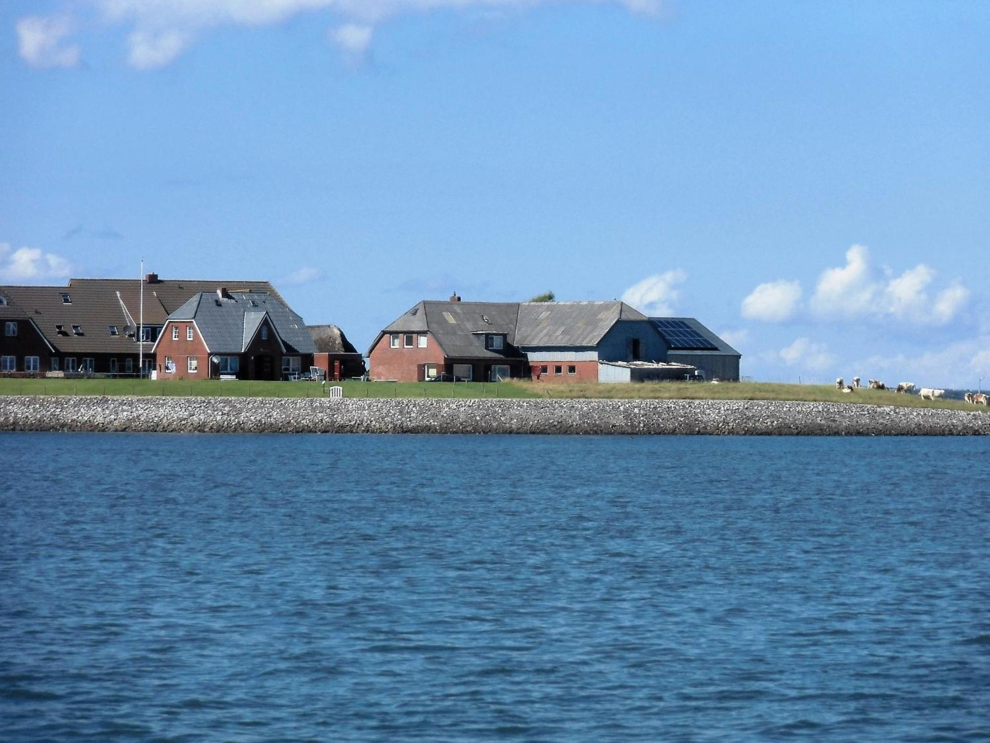 Haus Halligblick, Ferienwohnungen Am Wattenmeer, Whg Hamburger Hallig Dagebuell Exterior photo